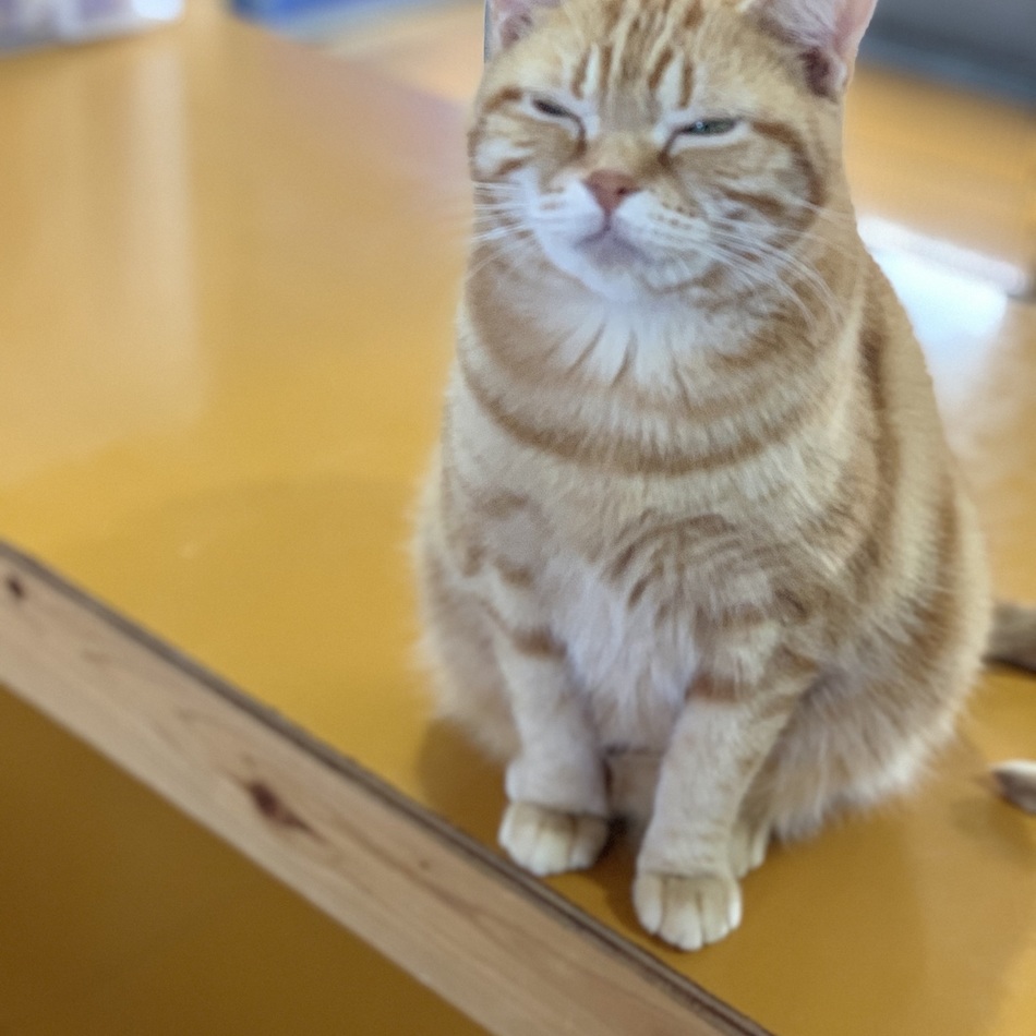 ふくのカバー写真