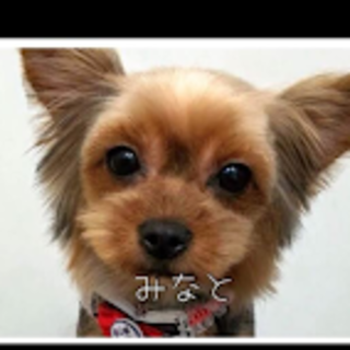 港（みなと）人が大好きな怖がりちゃん