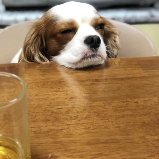 mo＿coのカバー写真