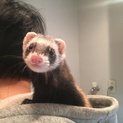 里親さん募集します！