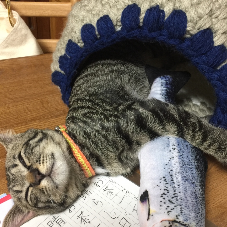 森田みたらしのカバー写真