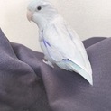 ありがとうございました。