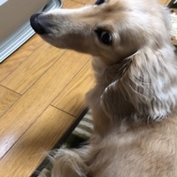 クリン