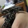 アネリ