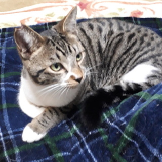 元気いっぱいの男の子