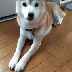 葵の独り言(*˘︶˘*).｡.:*♡⑤