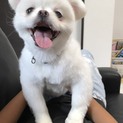 とりあえず一旦募集取り止めます。