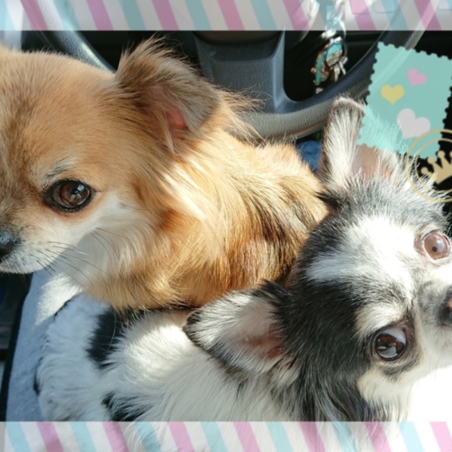 やまみほんのカバー写真