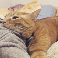 小川 ヒロ