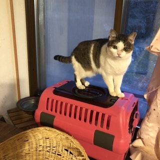 小顔の 木の実(このみ)ちゃん