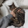 たまご サムネイル2