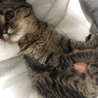 たまご サムネイル3