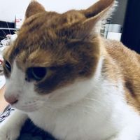 まろん