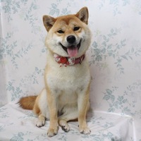 ちゃうめ