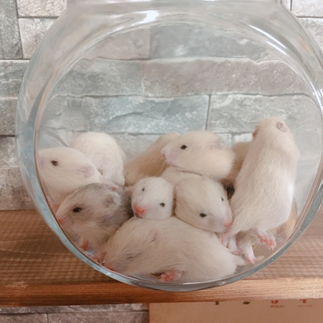 まゅみん126のカバー写真