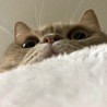 上から視線…