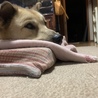 の写真