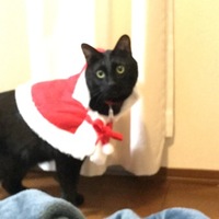 こはな