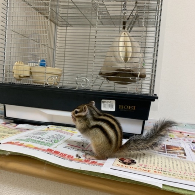 とととろろのカバー写真