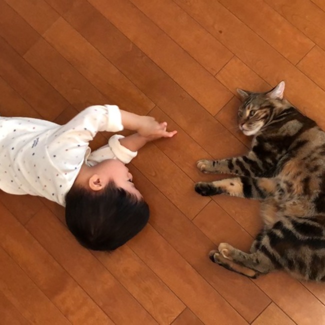 ぼたんのおうちのカバー写真