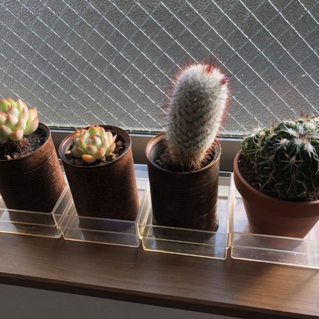 れおまーるのカバー写真