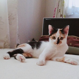 遊ぶの大好きソラちゃん