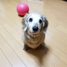 みのさん61