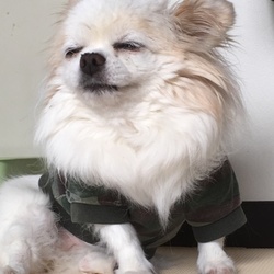 確定申告の時期なので