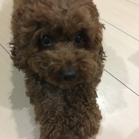 ソル