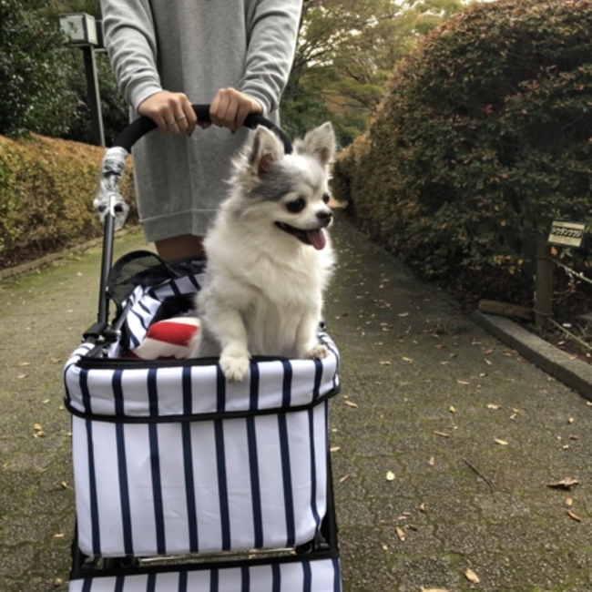 kyon5656のカバー写真