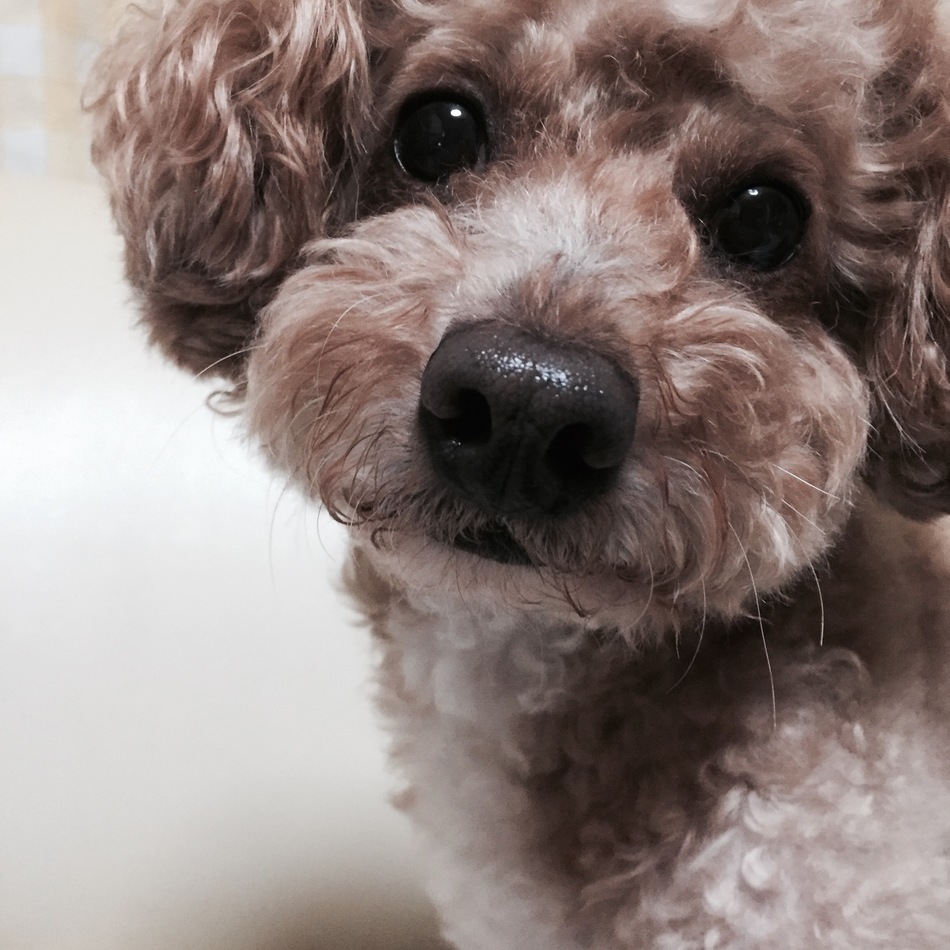 くうのカバー写真