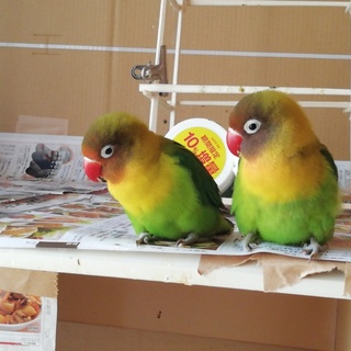 ご応募ありがとうございました