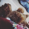 無防備
