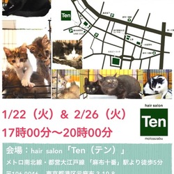 1月22日(火) 麻布十番ナイター里親会(ボランティアも募集中)