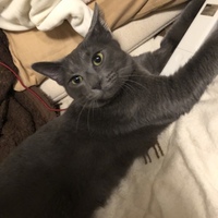 まろ