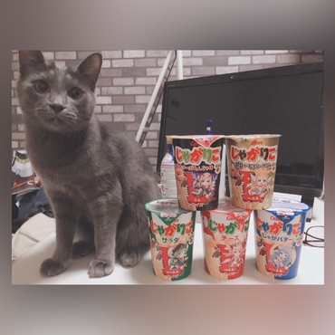 カメラを向けると写りに来る？！