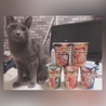 カメラを向けると写りに来る？！