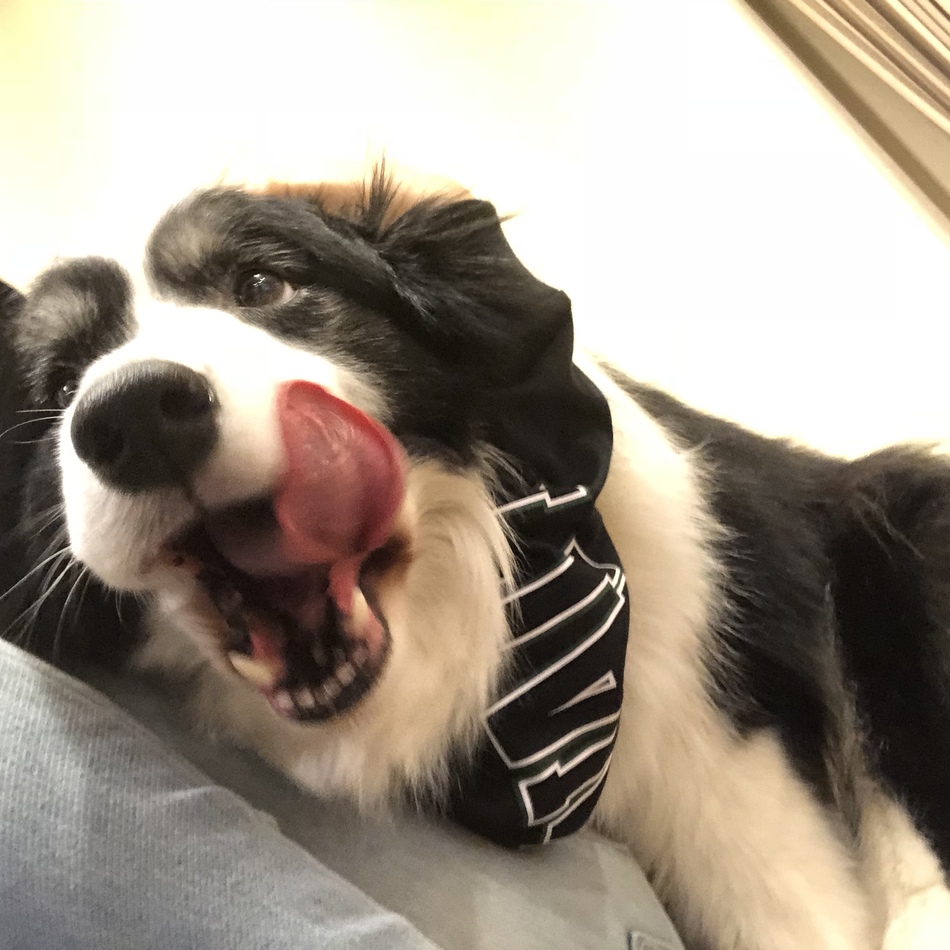 ロアのカバー写真