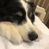 sleepy