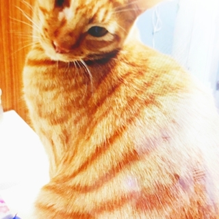 片目は不自由だけど元気いっぱいな男の子