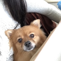 くぅちゃん