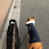 エイトスキー