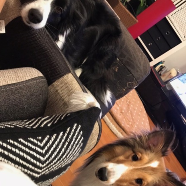 エイトスキーのカバー写真