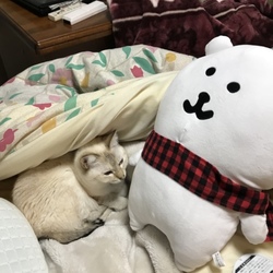「何年も空いてしまいました」サムネイル3