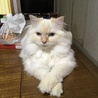  さん