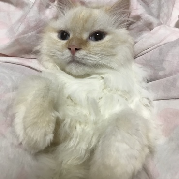 の写真
