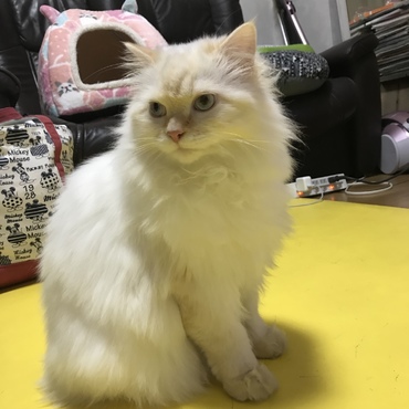 の写真