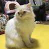 の写真