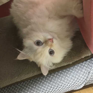の写真