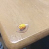 有村 駿汰